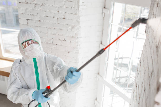 Best Real Estate Mold Inspection  in West Concord, MA