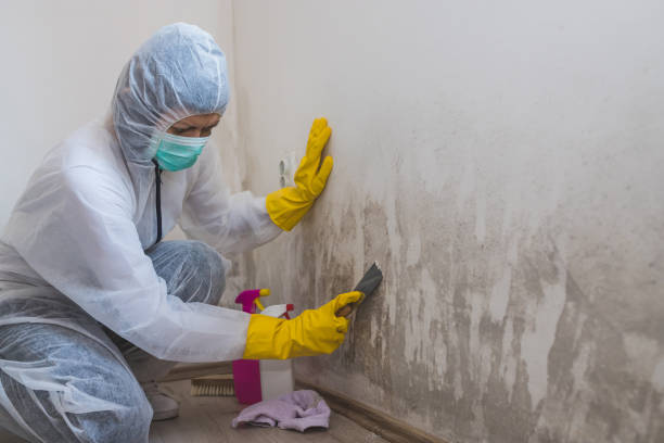 Best Residential Mold Inspection & Testing  in West Concord, MA