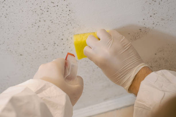 Best Indoor Air Quality Assessment  in West Concord, MA