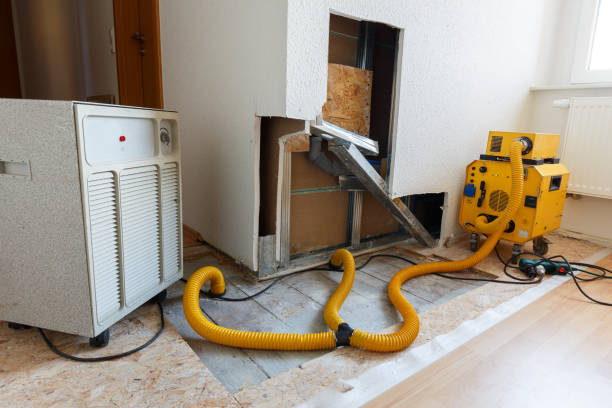 Best Industrial Mold Remediation  in West Concord, MA