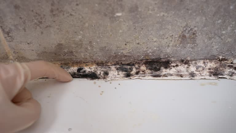 Best Dehumidification Services  in West Concord, MA